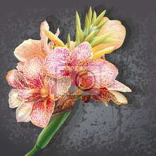 Арт-обои с рисованными орхидеями