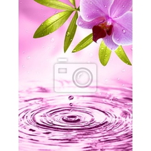 Фотообои - Капля воды на фоне орхидеи
