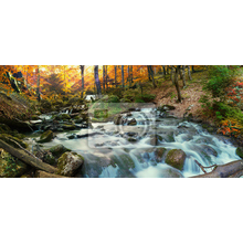Фотообои с красивым лесным водопадом