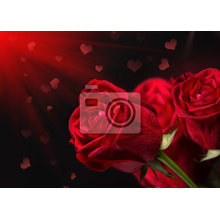 Фотообои - Красные розы на темном фоне
