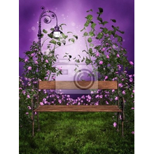 Фиолетовые фотообои со скамейкой
