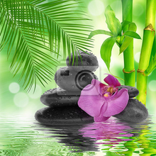 Фотообои - Черные камни и бамбук на воде