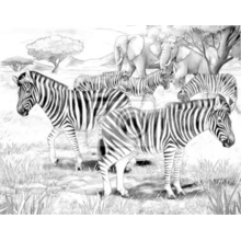 Арт-обои - Рисованные зебры
