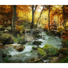 Фотообои - Водопад осенью