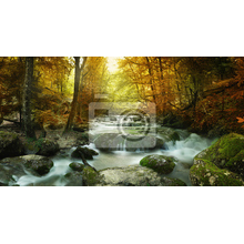 Фотообои - Осенний лесной пейзаж