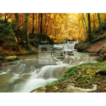 Фотообои - Лесной водопад