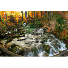 Фотообои - Красивый лесной водопад