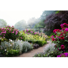 Фотообои - Английский сад