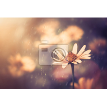 Фотообои - Ретро цветок