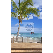 Фотообои — Морская терраса с пальмой