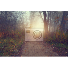 Фотообои - Туманное утро