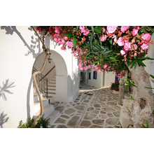 Фотообои с маленькой улочкой в цветах в Греции