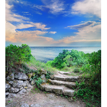 Фотообои - Пейзаж с каменной лестницей