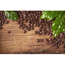 Кофейные зерна — Обои на стену