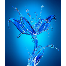 Фотообои - Цветок из воды
