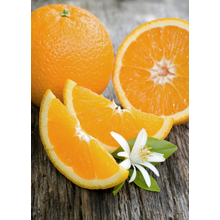 Фотообои с апельсинами на столе