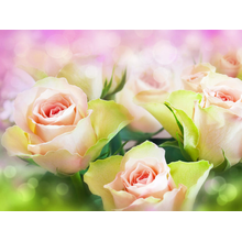 Фотообои с нежными розами