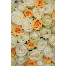 Фотообои с белыми и желтыми розами