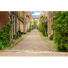 Фотообои - Улица с перспективой