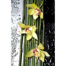 Орхидеи на побегах бамбука — Обои на стену