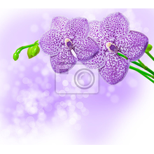 Изображение фотообоев