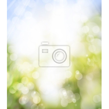 Изображение фотообоев