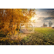 Изображение фотообоев