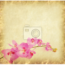 Изображение фотообоев