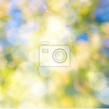 Изображение фотообоев