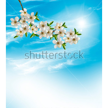 Изображение фотообоев