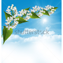 Изображение фотообоев