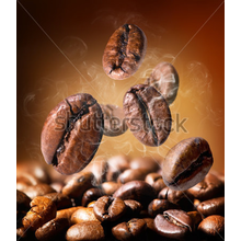 Изображение фотообоев