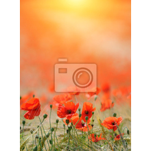 Изображение фотообоев