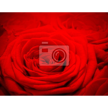 Изображение фотообоев