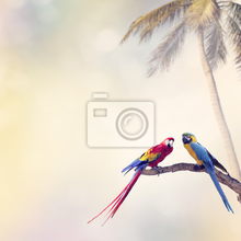 Изображение фотообоев