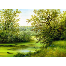 Изображение фотообоев