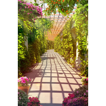 Изображение фотообоев