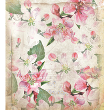 Изображение фотообоев