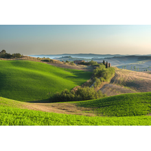 Изображение фотообоев