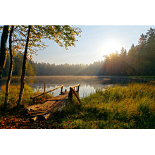 Изображение фотообоев