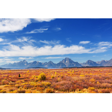 Изображение фотообоев