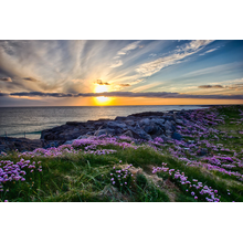 Изображение фотообоев