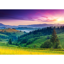 Изображение фотообоев