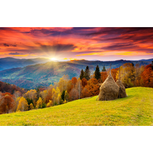 Изображение фотообоев