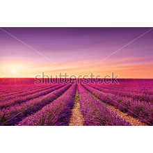 Изображение фотообоев