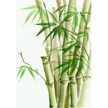 Арт-обои с нарисованным бамбуком