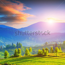 Изображение фотообоев