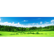 Изображение фотообоев