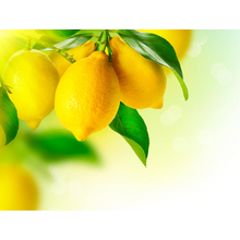 Лимоны — Красивые обои для кухни