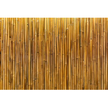 Бамбуковая текстура